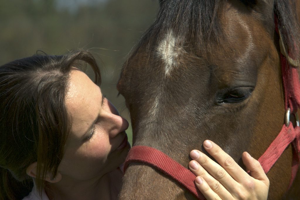 Feiner Moment zwischen Kerstin Jaud und ihrem Pferd Avignon – Symbol für heilende Beziehung und traumasensible Pferdeosteopathie.